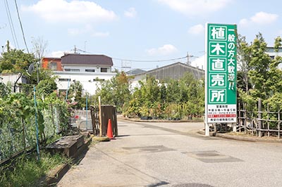 （株）安行植物取引所（子会社）