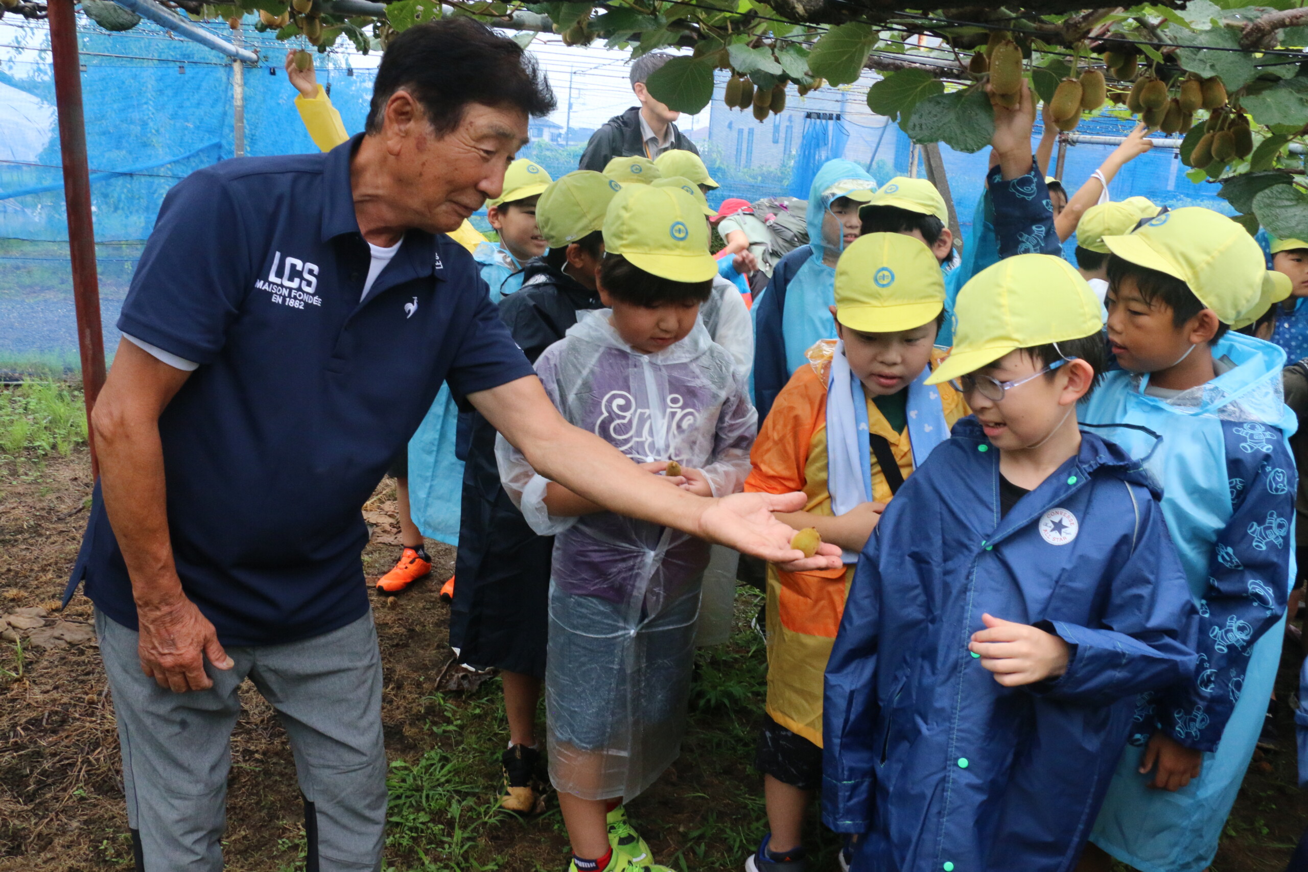 市の特産キウイフルーツを学ぶ（上平営農経済センター：上尾市）