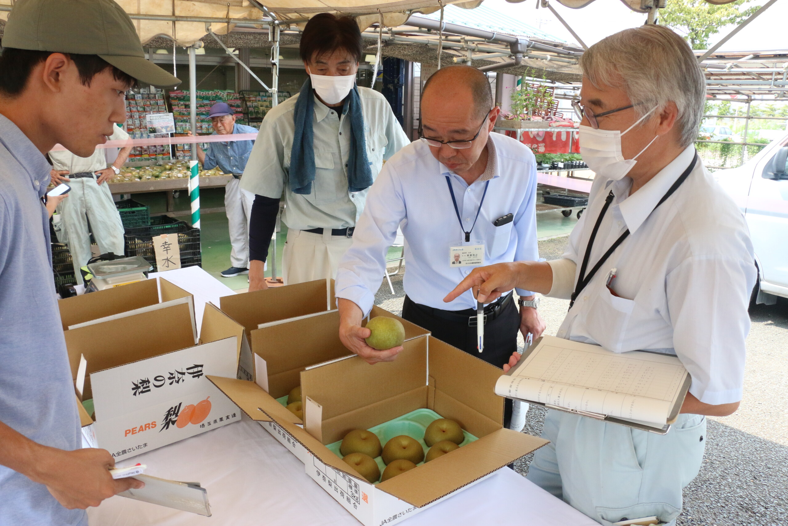 梨「幸水」の出来栄え競う　共進会開催（伊奈支店：伊奈町）（中部営農経済課：さいたま市）