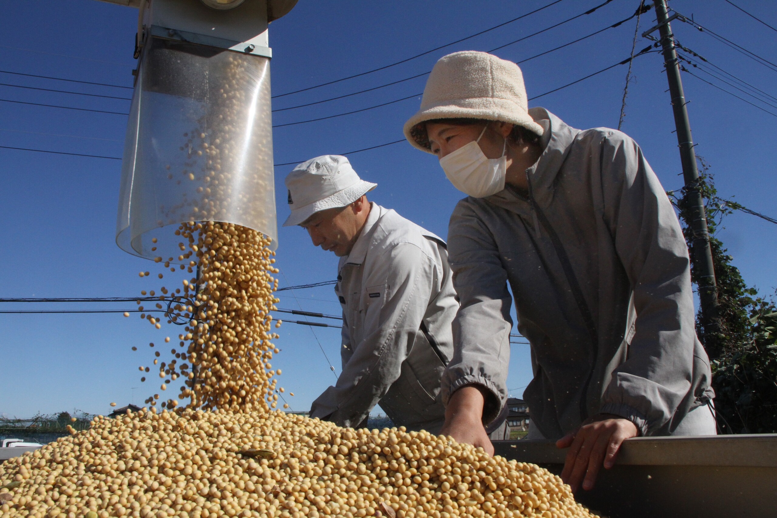 規模拡大し、国産大豆広める（北部営農経済課）