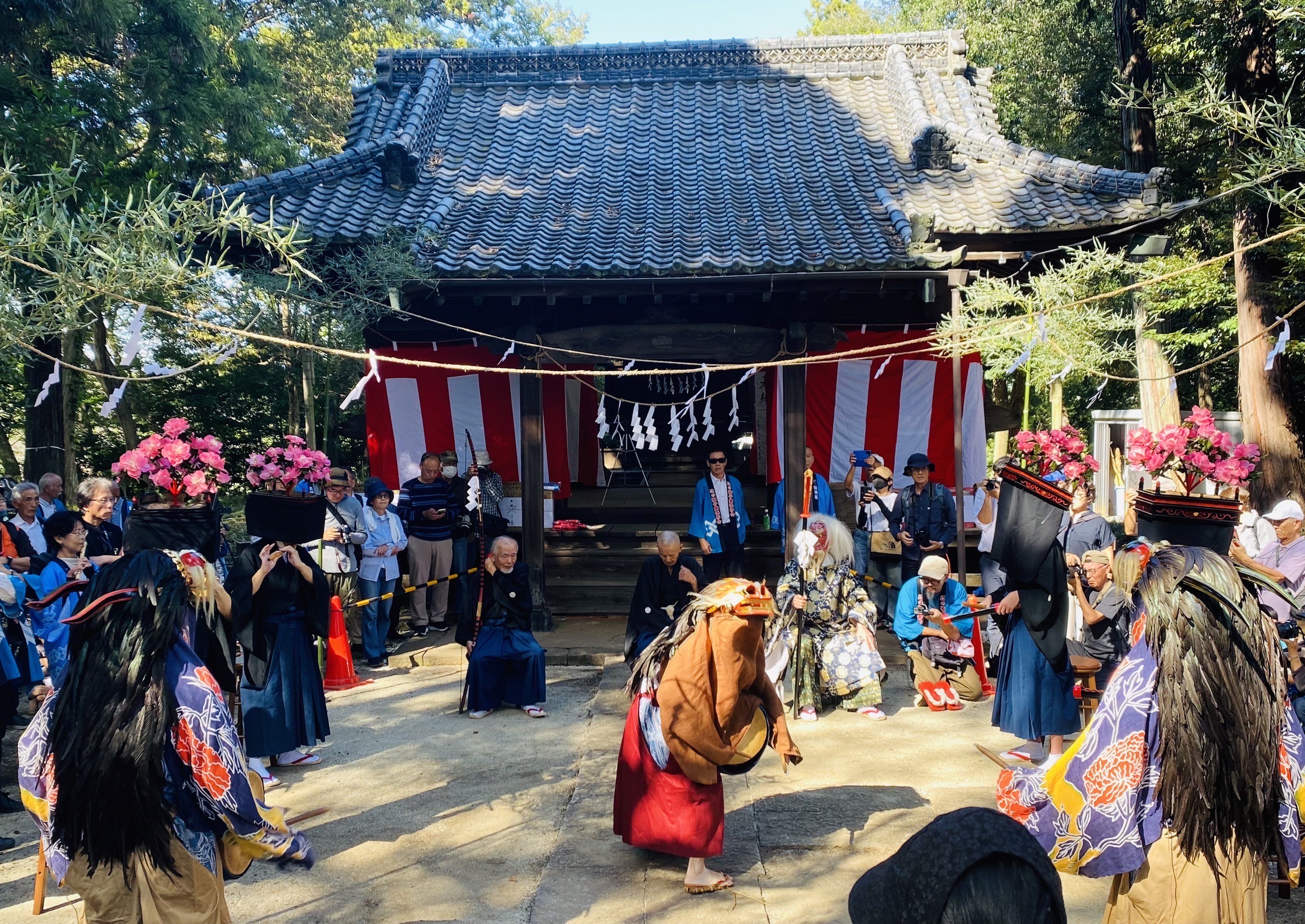 華麗で激しく、勇壮な舞（美園支店）