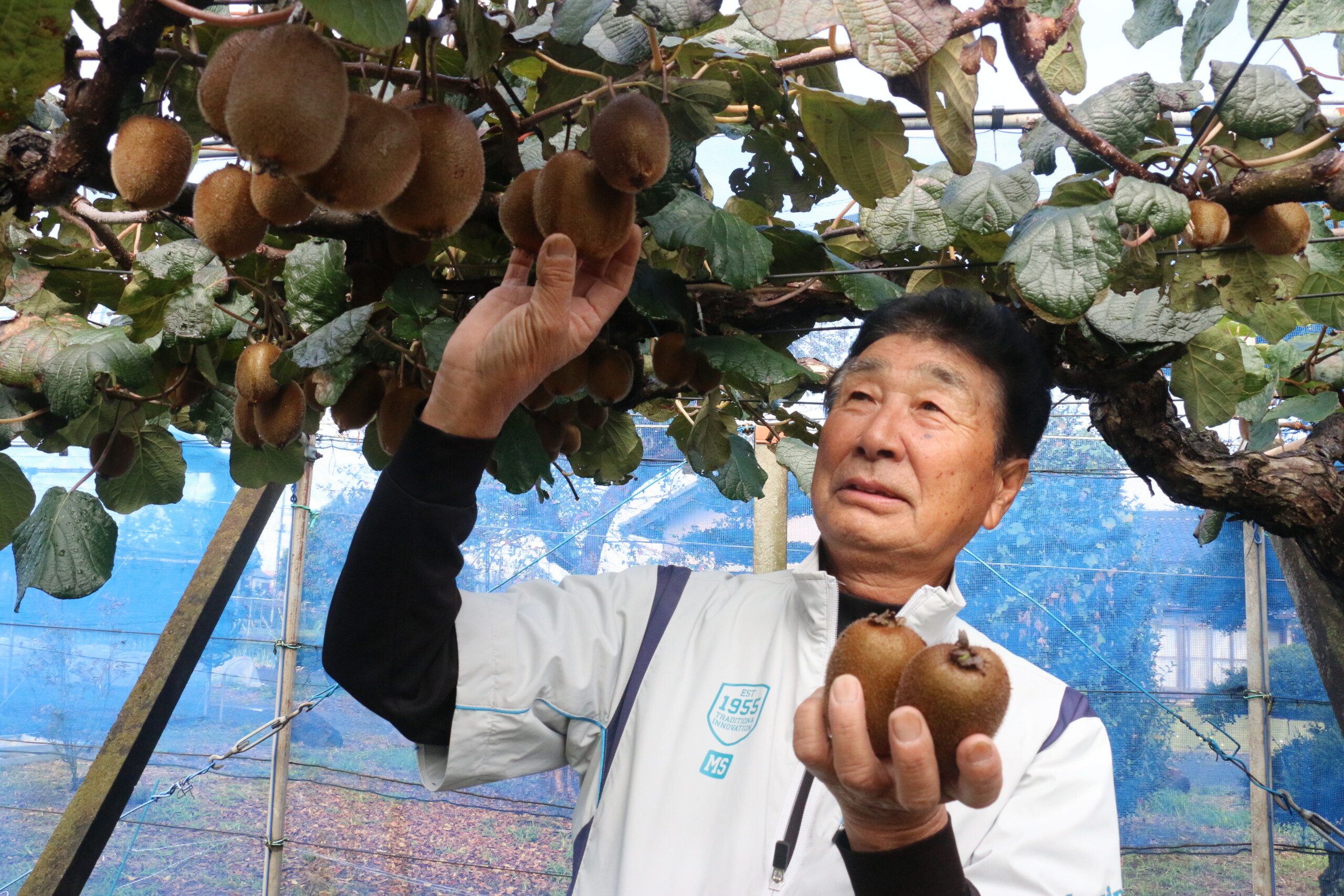 あま～いキウイ、召し上がれ（上平営農経済センター）