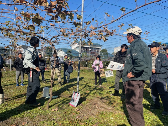 各地で果樹の剪定講習会を開催