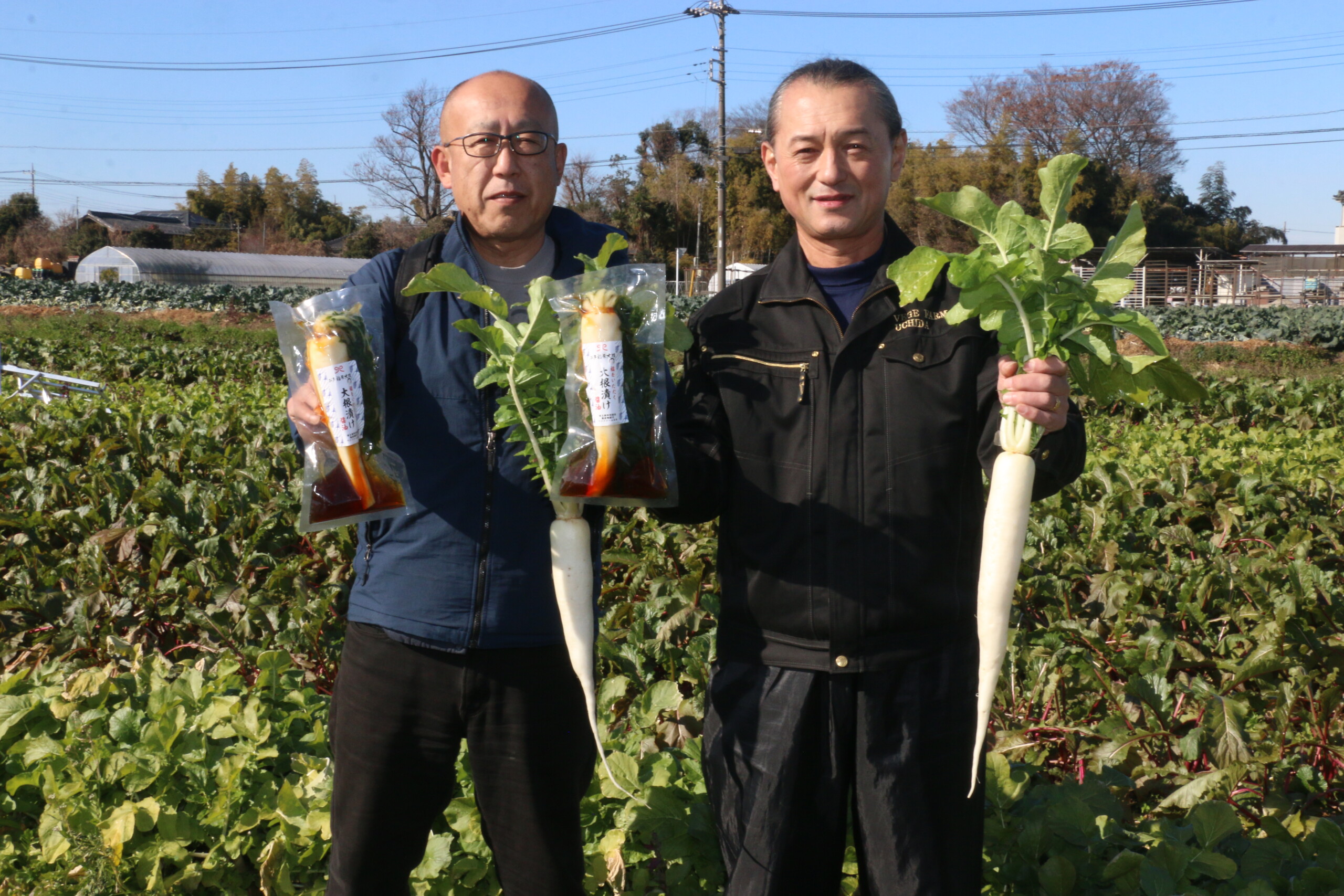 お多福来大根の漬物、販売開始（北部営農経済課）